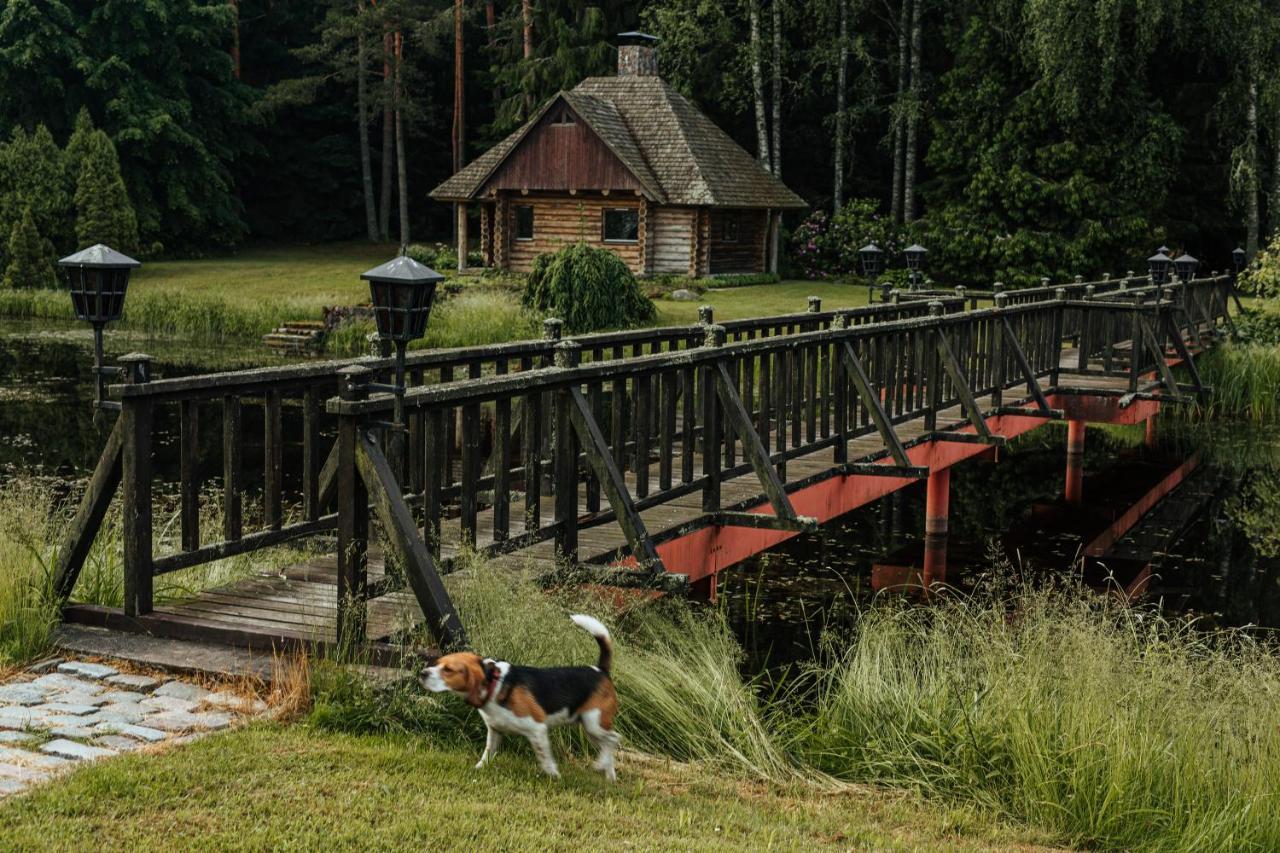 Log * Kuldīga